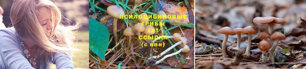 гидра Киреевск