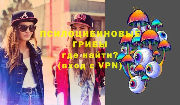 apvp Козельск