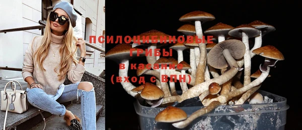 гидра Киреевск