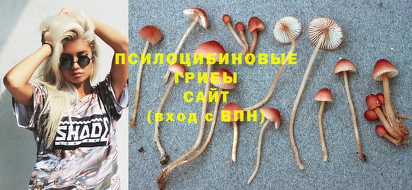 синтетический гашиш Кодинск