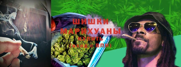 apvp Козельск