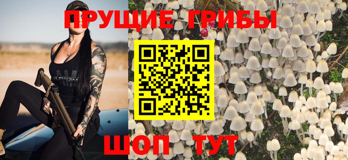 Псилоцибиновые грибы Psilocybine cubensis Кудымкар