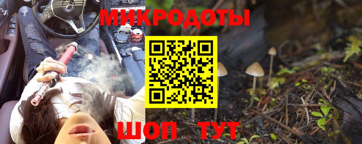 Кудымкар  Галлюциногенные грибы Cubensis  Вход с VPN 
