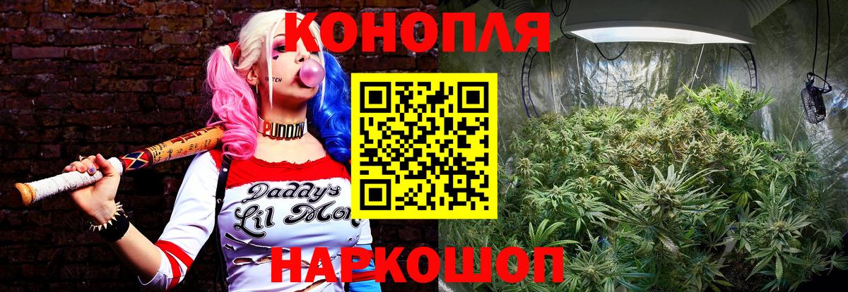 Кудымкар  Конопля VHQ  Вход с VPN  Конопля THC 21%  Каннабис план  Шишки марихуана Ganja 